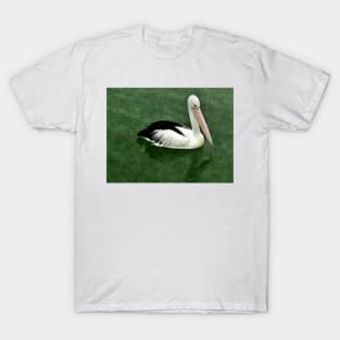 Pelican On the water T-Shirt